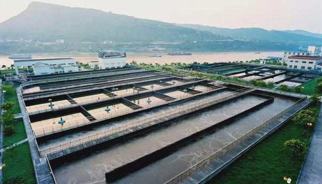 活性污泥凈化污水 活性污泥凈化污水