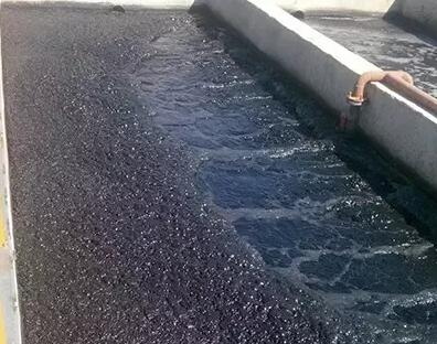 什么是活性污泥？活性污泥由哪些物質(zhì)組成-樂中環(huán)保