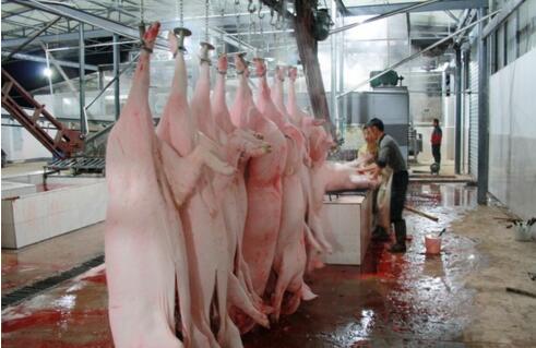 屠宰廢水處理方法有哪些？屠宰廢水處理設(shè)備價(jià)格？-01