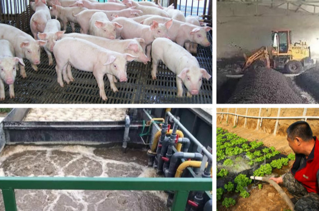 養(yǎng)殖污水處理一體設(shè)備多少錢？養(yǎng)殖污水處理方法