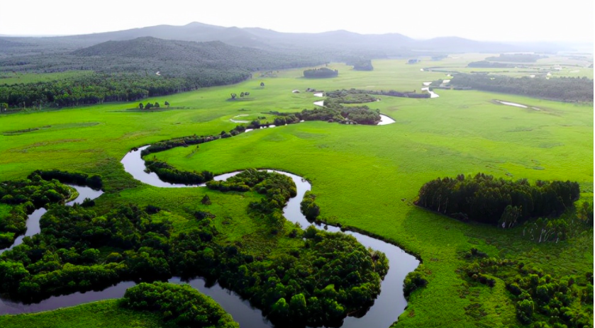 哈爾濱大量污水未經(jīng)處理直排松花江，會對當?shù)芈糜螛I(yè)帶來哪些影響