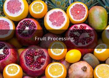 食品廠污水處理新思路，印度食品污水處理經(jīng)驗淺析01