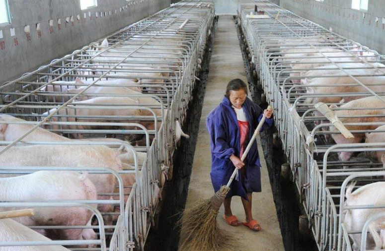 畜牧污水處理設(shè)備哪家好，養(yǎng)殖污水處理設(shè)備哪家好