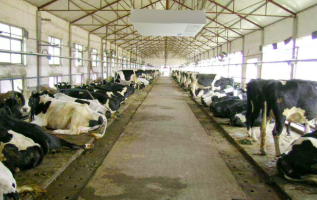 養(yǎng)殖屠宰污水處理設(shè)備使用前，要注意這兩點！01