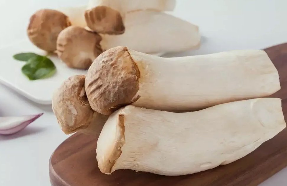 杏鮑菇生產(chǎn)加工廢水排放流程|設(shè)備|廢水排放標(biāo)準(zhǔn) 杏鮑菇生產(chǎn)加工廢水排放流程|設(shè)備|廢水排放標(biāo)準(zhǔn)