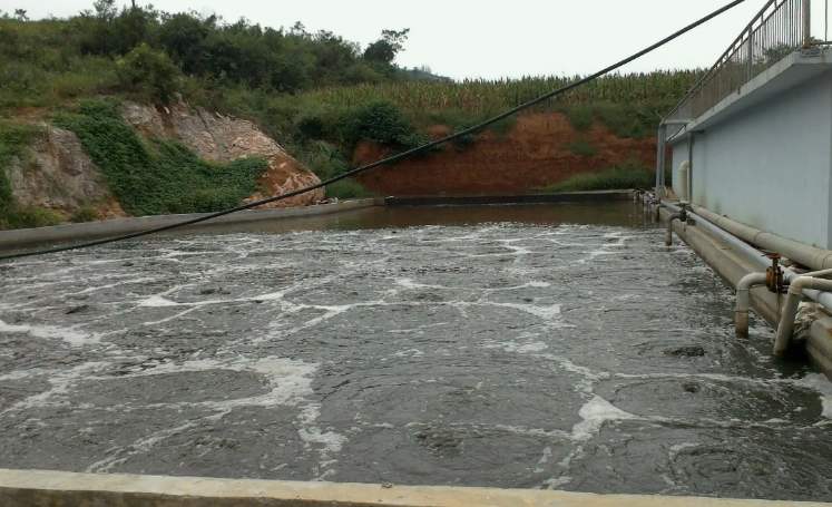 養(yǎng)殖場廢水處理工藝有哪些？（養(yǎng)殖污水便宜處理方法）