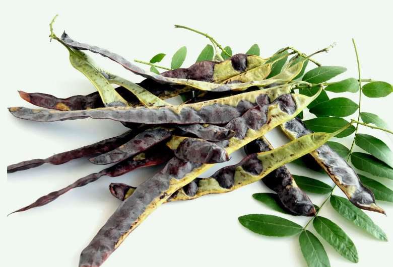 皂腳和皂角的區(qū)別是什么（皂腳和皂角一樣嗎？）